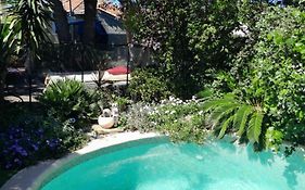 Appartement En Sous Sol De Villa Avec Acces Jardin Et Piscine